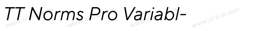 TT Norms Pro Variabl字体转换